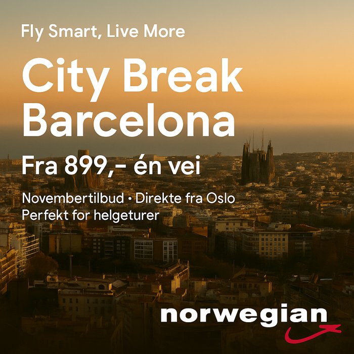 Google Display banner with the line Fly Smart, Live More