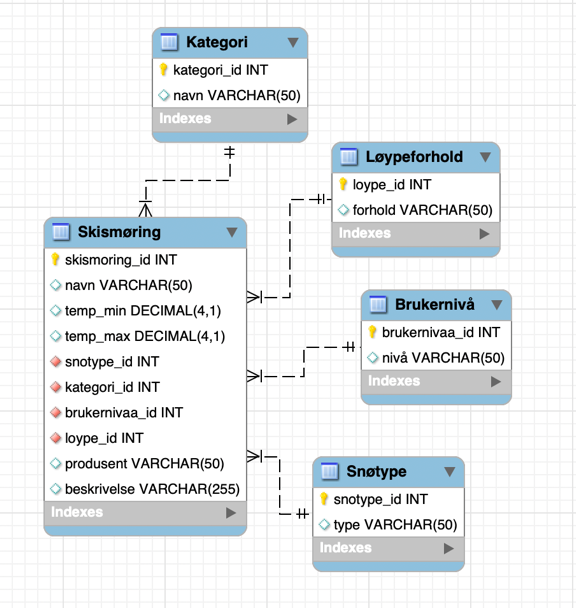 ER diagram of the ski wax database